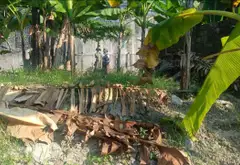 Đất nền vàng hướng Nam yên bình tại phường Hà Lầm... Bán đất tại Hà Lầm, Quảng Ninh 04