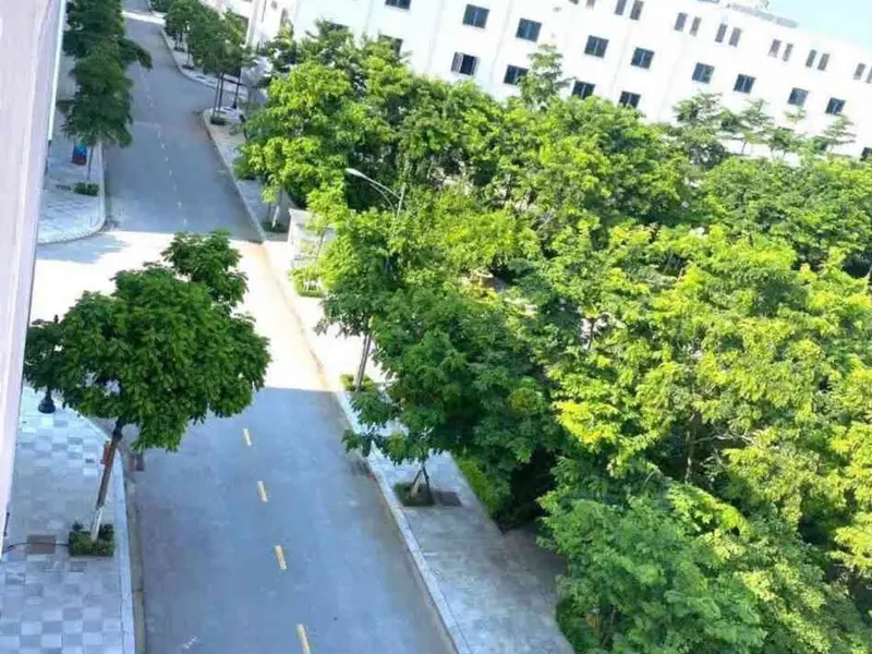 Bán biệt thự liền kề 75m² 5 tầng tại khu đô thị Phố Nối T&T, hướng Đông Bắc... Bán biệt thự, liền kề tại Nguyễn Văn Linh, Hưng Yên 01