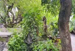 Đất Biệt Thự Sân Vườn Thạnh Xuân Quận 12, Giá Sốc... Bán đất tại Thới An, Hồ Chí Minh 06