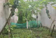 Vi trí đắc địa . Gần trưởng học đương văn thi . Gần chơ nhỏ . .dien tích 63m2 gia nhỉnh 7ty... Bán đất tại Tăng Nhơn Phú, Hồ Chí Minh 02