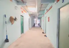 Bán dãy phòng trọ dòng tiền 35 triệu.tháng, diện tích 559.2m², Xã Phú Hoà Đông - Củ CHi- 12 tỷ... Bán nhà mặt phố tại Phú Hòa Đông, Hồ Chí Minh 04