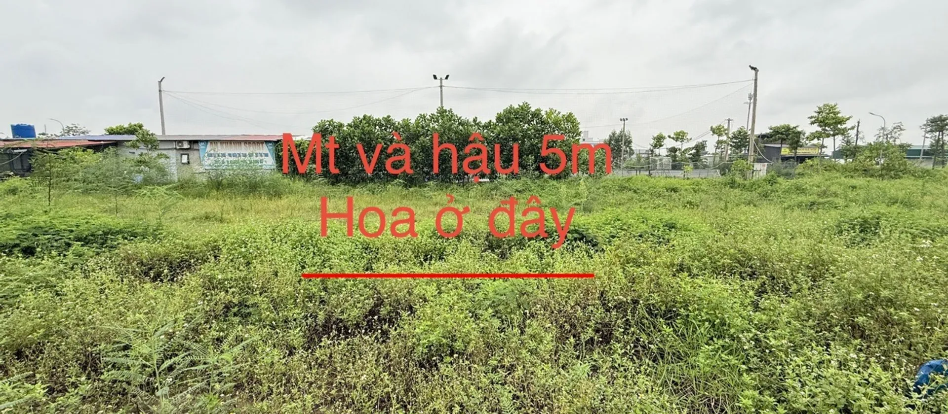 Cơ hội sở hữu lô đất tiềm năng tại Yên Trung, Bắc Ninh... Bán đất tại Yên Trung, Bắc Ninh 01