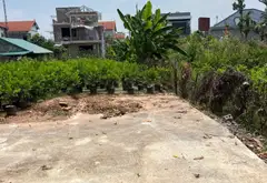 TÔI BÁN LÔ ĐẤT TẠI THÔN QUÁN TRẠCH AB LIÊN NGHĨA VĂN GIANG ÔTÔ ĐỖ CỔNG CÁCH TRỤC CHÍNH ÔTÔ TRÁNH 30... Bán đất tại Văn Giang, Hưng Yên 03