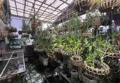Bán nhà 5 tầng mới tại Phường Hoàng Mai, Hà Nội giá 9 tỷ... Bán nhà riêng tại Hoàng Mai, Hà Nội 11