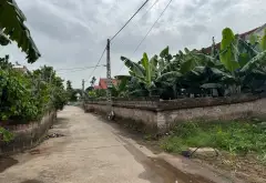 Đất đẹp giá êm tại Hạnh Lâm Mai Động Kim Động nay là Đức Hợp Hưng Yên... Bán đất tại Đức Hợp, Hưng Yên 09