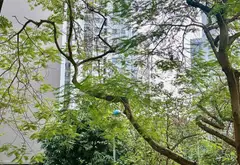 Căn góc 3PN Linh Đàm thoáng mát, sổ đỏ chính chủ... Bán căn hộ chung cư tại Hoàng Liệt, Hà Nội 01