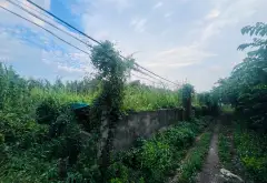 Đất view sông siêu mát - không gian nghỉ dưỡng lý tưởng... Bán đất tại Hiệp Phước, Hồ Chí Minh 05