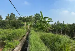 Bán đất mặt tiền lớn diện tích to giá rẻ vị trí khu UY NỖ tiện ích ngập lối 302 m giá dưới 2 tỏi... Bán đất tại Đông Anh, Hà Nội 14