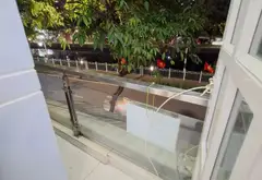Cơ hội sở hữu nhà mặt phố kinh doanh đắc địa tại trung tâm sầm uất... Bán nhà mặt phố tại Bình Tiên, Hồ Chí Minh 10