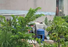 Đất Thạnh Xuân Quận 12 80m2 Mặt Tiền Rộng, Giá Tốt gần Hà Huy Giáp Cao Đăng Điện Lực... Bán đất tại Thới An, Hồ Chí Minh 01