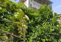 Bán đất 75m2 hẻm xe hơi gần Quốc Lộ 1A, Tân Thới Nhất... Bán owner_side tại Đông Hưng Thuận, Hồ Chí Minh 03