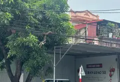 Bán nhà xưởng 156m² mặt đường lớn tại Vĩnh Khê, An Đồng, Hải Phòng... Bán kho, nhà xưởng tại An Hải, Hải Phòng 01