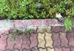 Bán đất đồng than-yên Mỹ-Hưng yên 100m2... Bán đất tại Yên Mỹ, Hưng Yên 05