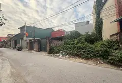 Bán Đất Phân Lô mặt phố Liên Ninh, mặt tiền 4m, phù hợp kinh doanh ô tô tránh... Bán nhà mặt phố tại Ngọc Hồi, Hà Nội 04