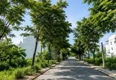 Lô đất vàng gần chợ Long Trường, an cư lập nghiệp lý tưởng... Bán đất tại Long Phước, Hồ Chí Minh 02