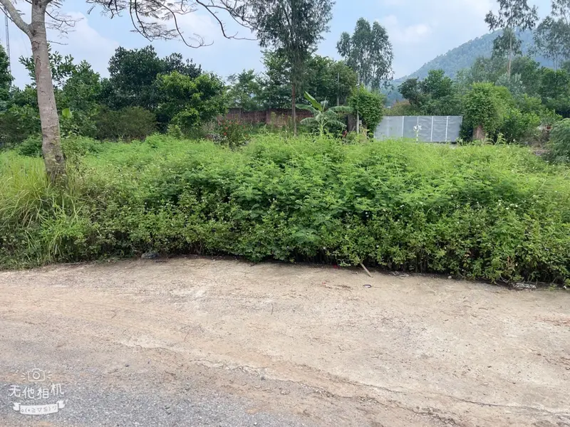 ĐẤT - TÁI ĐỊNH CƯ - Trung Giã, Sóc Sơn - vị trí đẹp... Bán đất tại Trung Giã, Hà Nội 01