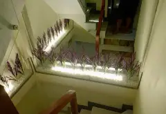 Nhà Mặt Phố Bàu Cát - Vừa Ở Vừa Kinh Doanh Tốt... Bán nhà mặt phố tại Tân Bình, Hồ Chí Minh 17