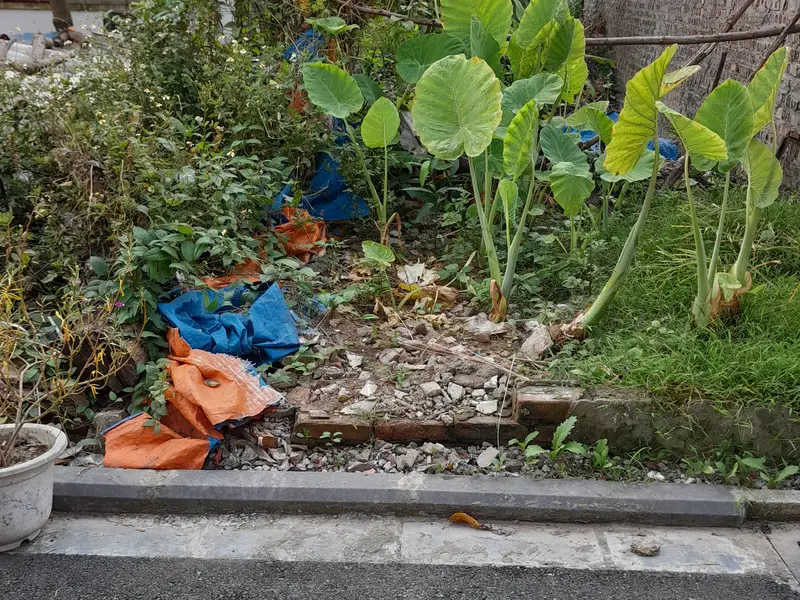 🔥 ĐẤT ĐẸP PHƯƠNG TRẠCH – 76M² FULL THỔ CƯ, NỞ HẬU - Ô TÔ VÀO ĐẤT – SÁT THÁP TÀI CHÍNH 108 TẦNG... Bán đất tại Đông Anh, Hà Nội 01