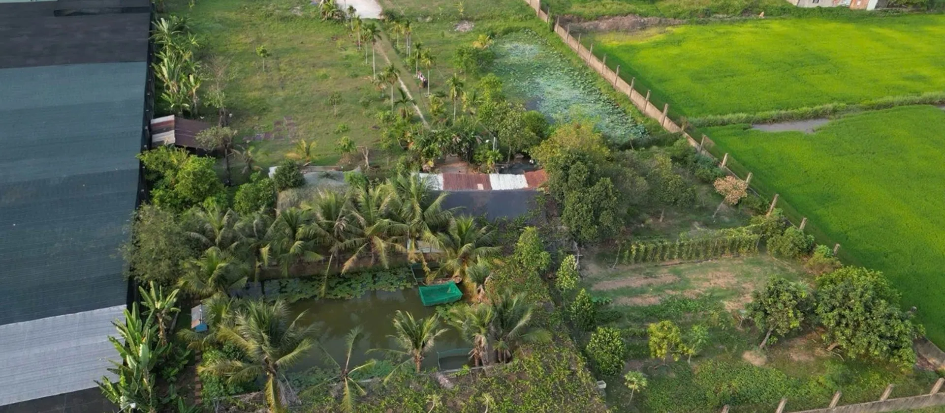 Bán đất hơn 6300m2 có thổ cư tại Xuân Thới Sơn, giá 54 tỷ... Bán đất tại Xuân Thới Sơn, Hồ Chí Minh 01