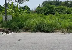 Bán đất mặt tiền rộng 5m tại Khu Công Nghiệp Đại Đồng... Bán đất tại Từ Sơn, Bắc Ninh 05