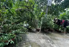 Bán nhà riêng 1 tầng ngõ 264 Ngọc Thụy, Long Biên, ô tô vào nhà, 2 mặt tiền... Bán nhà riêng tại Bồ Đề, Hà Nội 06