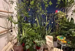 Bán căn hộ chung cư Amber Riverside Minh Khai, 2 phòng ngủ, 74.2m², giá nhỉnh 8tỷ... Bán căn hộ chung cư tại Vĩnh Tuy, Hà Nội 07