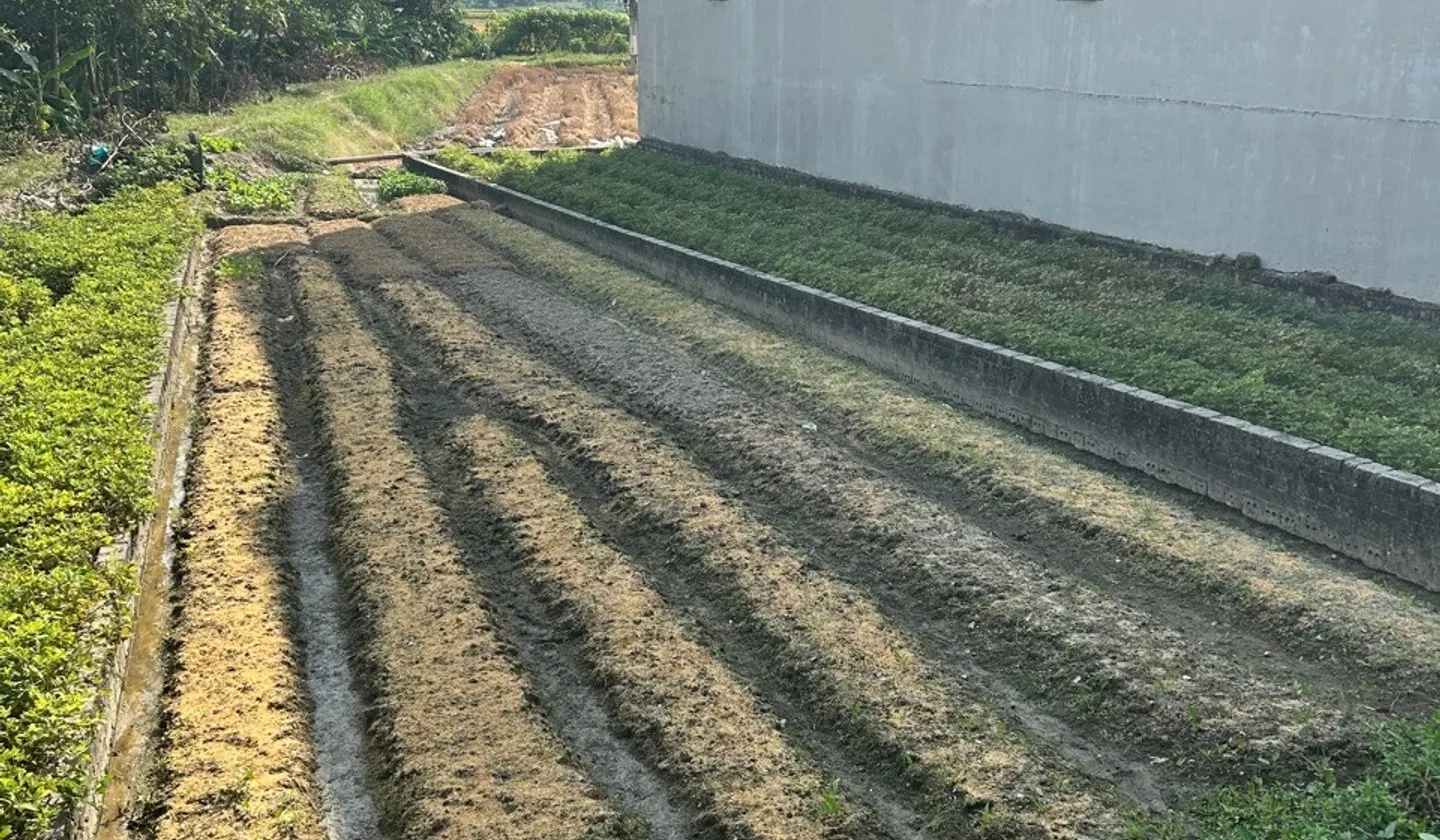 Đất đẹp hiền lương Đào viên Bắc Ninh 2,1tỷ... Bán đất tại Đào Viên, Bắc Ninh 01