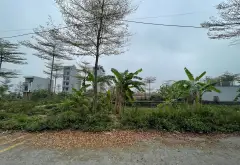 Bán 68m2 Đất Vàng Đấu Giá Khu Cây Sung - Đan Phượng, Phân lô , ô tô tránh, xây nhà ở sướng.... Bán đất tại Đan Phượng, Hà Nội 09