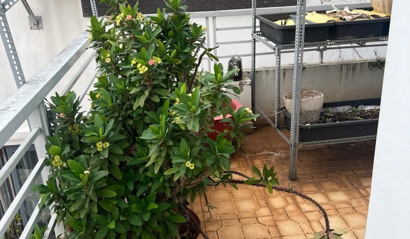 Cơ hội sở hữu nhà 3 tầng vị trí vàng Quận 10 với giá hấp dẫn... Bán nhà riêng tại Vườn Lài, Hồ Chí Minh 01