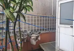 Bán nhà mặt phố đường Tô Ký, phường Tân Chánh Hiệp, diện tích 108.4 m2, kinh doanh sầm uất... Bán nhà mặt phố tại Trung Mỹ Tây, Hồ Chí Minh 11
