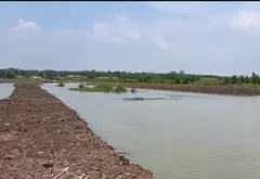 Bán đất nông nghiệp 20.405m2 tại Hiệp Phước, Nhà Bè... Bán đất tại Hiệp Phước, Hồ Chí Minh 04