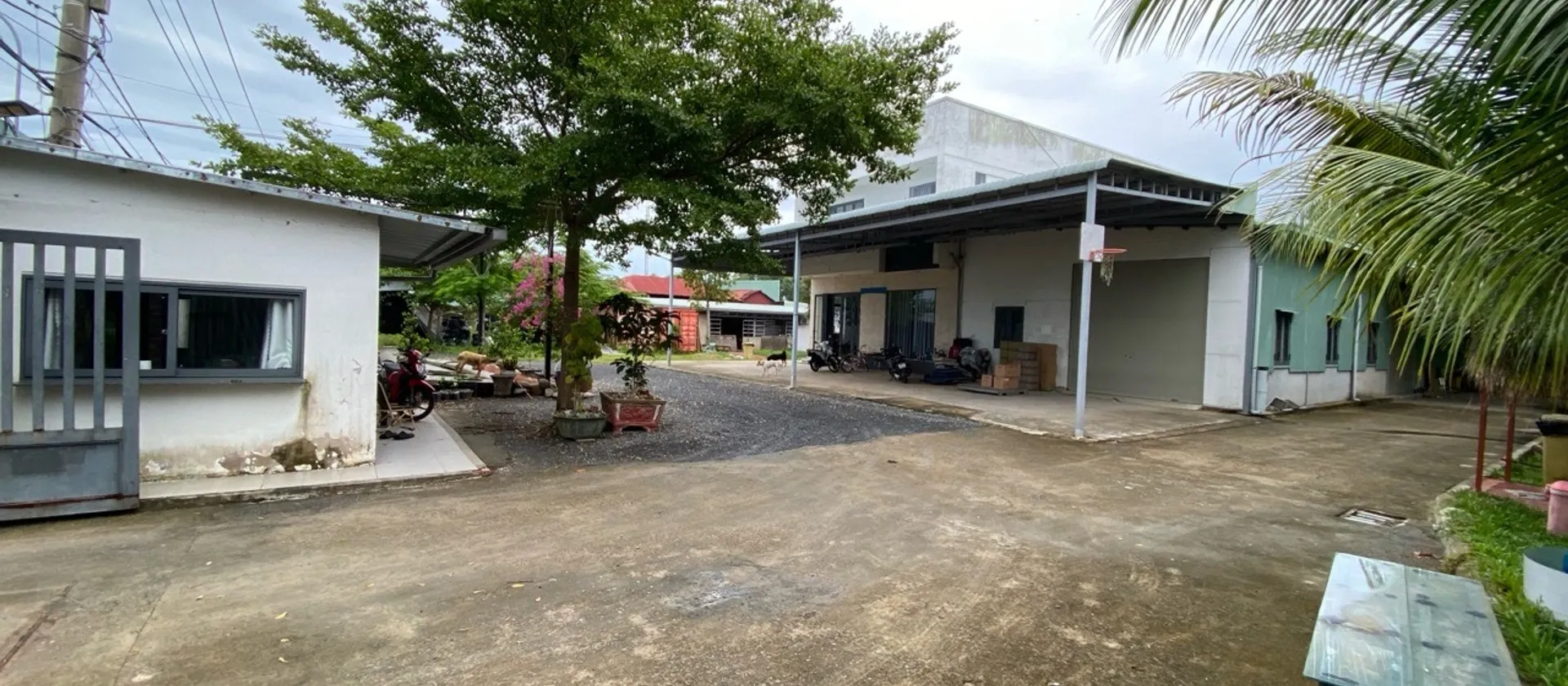 Bán nhà mặt phố tại phường Đặng Công Bỉnh, mặt tiền 65m, diện tích 3342m2, pháp lý rõ ràng... Bán nhà mặt phố tại Bà Điểm, Hồ Chí Minh 01