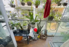 Bán nhà riêng 4 tầng 4PN tại Tân Phú, hẻm xe hơi rộng 8m... Bán nhà riêng tại Phú Thạnh, Hồ Chí Minh 10