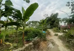 Bán đất lô góc tại Thôn với vị trí thuận tiện và sổ đỏ chính chủ... Bán đất tại Hiệp Hòa, Bắc Ninh 05