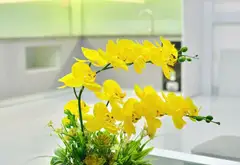 Nhà Riêng Sang Trọng Tại Trung Tâm Chợ Hàng Với Thiết Kế Hiện Đại... Bán nhà riêng tại Lê Chân, Hải Phòng 04