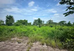 🏡 CHỊ GÁI NHỜ BÁN – LÔ ĐẤT ĐẸP KHU ĐÔ THỊ TIẾN PHAN, NHÃ NAM
📐 Diện tích: 85,2m²... Bán đất tại Nhã Nam, Bắc Ninh 13