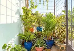 Bán nhà đường hoàng hoa tham, phường Gia Định Bình Thanh TP.HCM... Bán nhà riêng tại Gia Định, Hồ Chí Minh 14