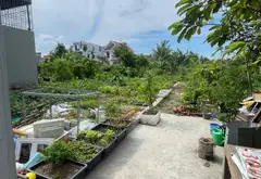 Cơ hội đầu tư đất thổ cư vị trí thuận tiện tại phố Kiền Hạ... Bán đất tại Đông Hải, Hải Phòng 03
