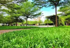Bán nhà riêng 5 tầng 7PN tại phường Bình Lợi Trung, TP. Hồ Chí Minh, giá 11.3 tỷ đồng... Bán nhà riêng tại Bình Lợi Trung, Hồ Chí Minh 08