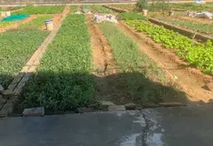 Bán đất thôn Lương Văn Tri, xã Ninh Xá, Thuận Thành, gần dự án Vin, đường ô tô 40m... Bán đất tại Ninh Xá, Bắc Ninh 04
