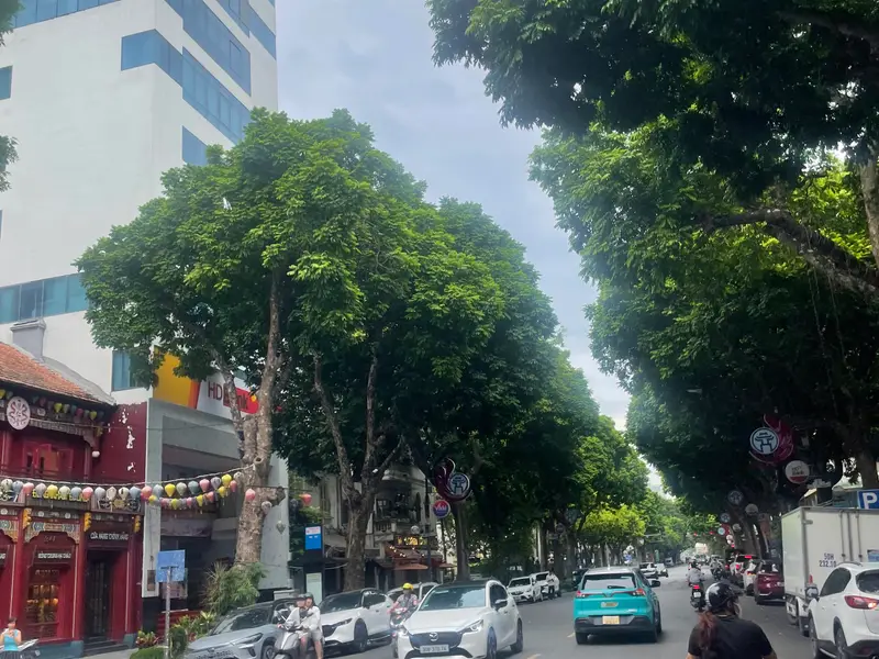 TẬP THỂ TRẦN HƯNG ĐẠO – STUDIO 30M² – GẦN NGÃ TƯ LÊ THÁNH TÔNG – VÀI BƯỚC RA NHÀ HÁT... Bán căn hộ chung cư tại Cửa Nam, Hà Nội 01