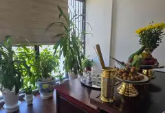 Bán căn hộ 3 phòng ngủ tầng cao tại TSQ Euroland Mỗ Lao, diện tích 174m2... Bán căn hộ chung cư tại Hà Đông, Hà Nội 14