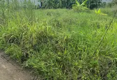 Bán đất tại xã Hoa Động, Thủy Nguyên – Đất nền thổ cư rộng, tiềm năng phát triển cao... Bán đất tại Thiên Hương, Hải Phòng 04
