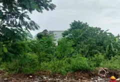 Bán đất 64m2 tại khu tái định cư A51 An Biên, hướng Đông Nam... Bán đất tại An Biên, Hải Phòng 03