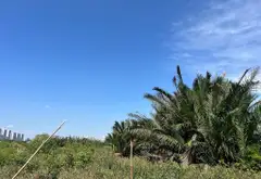 Bán đất nền diện tích lớn tại Nguyễn Hữu Thọ, Nhà Bè, gần Lotte Q7... Bán partner tại Nhà Bè, Hồ Chí Minh 10