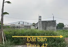 Bán đất đấu giá X3 xã Nguyên Khê, gần khu công nghiệp Phúc Thịnh... Bán đất tại Phúc Thịnh, Hà Nội 04