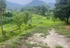 Lô Đất Nghỉ Dưỡng View Hồ, Tựa Núi Tại Trung Giã... Bán đất tại Trung Giã, Hà Nội 04