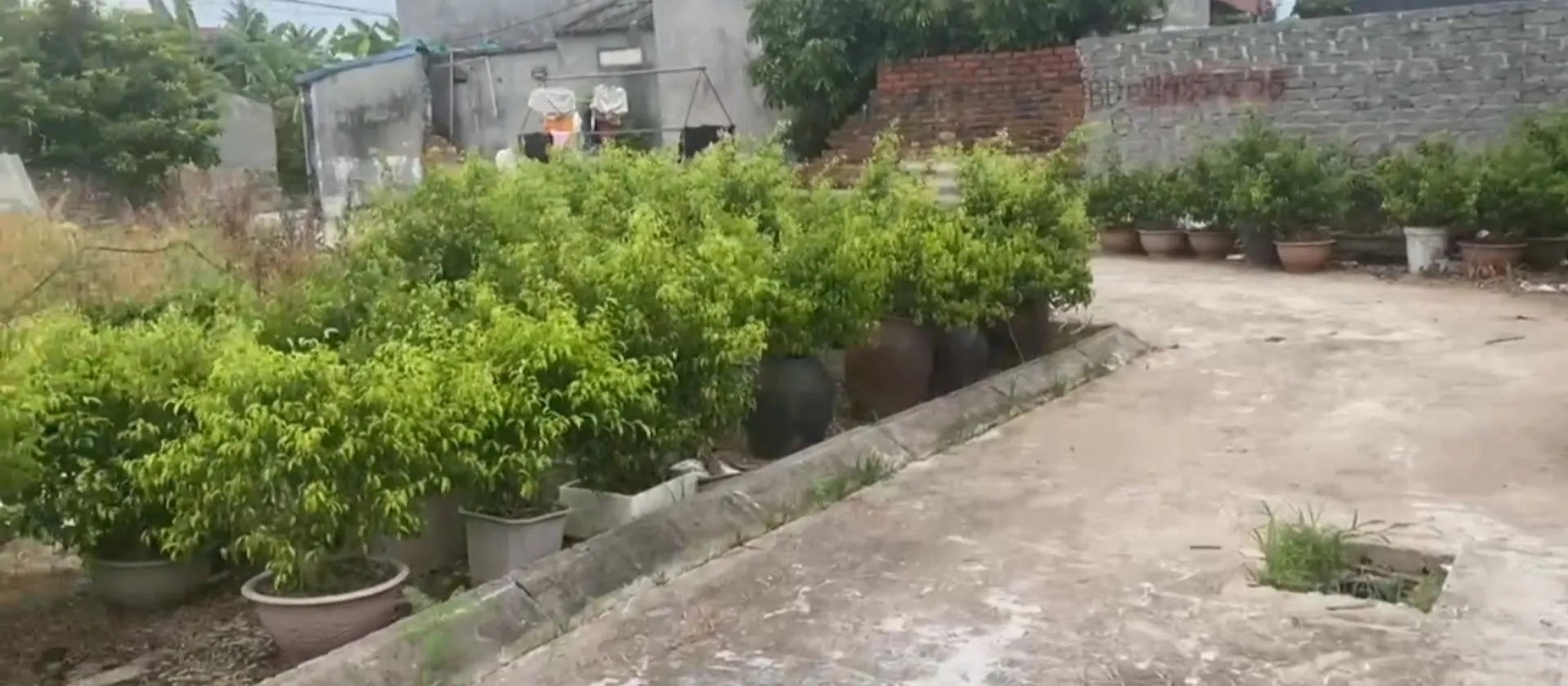 Đất nền thôn Đại Điền, Tân Viên, An Lão - Lựa chọn lý tưởng cho tổ ấm tương lai... Bán đất tại An Lão, Hải Phòng 01