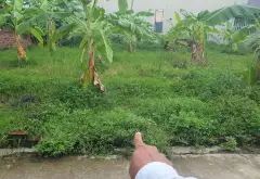 Đất đẹp tại phường Lưu Kiếm, TP Thủy Nguyên, diện tích phù hợp xây dựng... Bán đất tại Lưu Kiếm, Hải Phòng 03