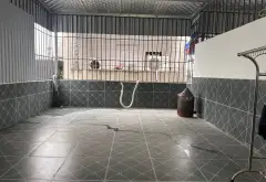 Nhà 4 tầng mới xây vị trí đẹp gần công viên Cây Lim... Bán nhà riêng tại Hải An, Hải Phòng 17